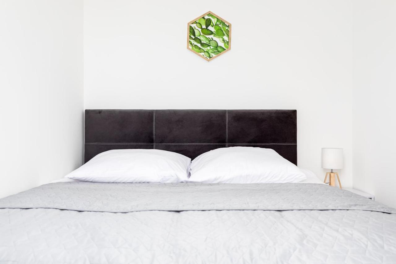 Przytulny Apartament 62 Centrum Szczecina Exteriér fotografie
